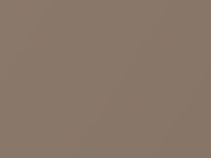 Scion All Models Egyptian Sand Pearl 2004 4Q8