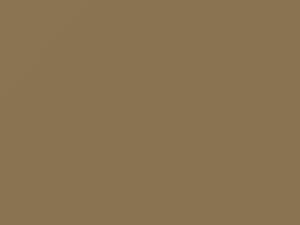 Fiat All Models Beige Meteora 2001 711A - Scratch Repair