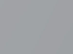 Fiat All Models Grigio Chiaro Metallic 2011 605B