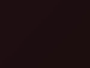 Fiat All Models Bordeaux 1998 110A - Scratch Repair