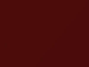 Fiat All Models Rosso Smalto 1995 169A