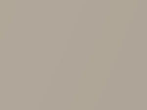 Audi S6 Melange Beige Metallic 2000 3X, LY1T, Y1T