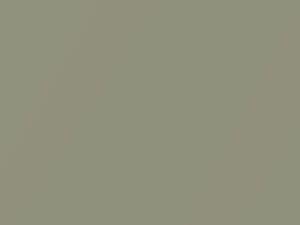 Honda Fit Champagne Beige Metallic 2011 YR523M - Scratch Repair