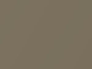 Volvo All Models Sahara Beige Metallic 1976 119