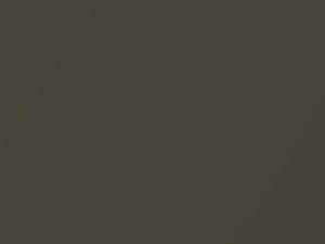 Kia Sedona Red Gold Metallic 1999 1W