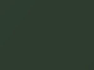 Mercedes-Benz Truck Meergruen 1985 277, 6277