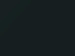 Nissan All Models Vert Guardia Civil 2001 28A - Scratch Repair