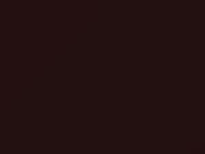 Volvo V40 Wine Red 1997 238