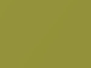 Subaru All Models Yellow Green Metallic 2011 812