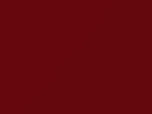 Plymouth All Models Graphic Red 1981 AY69TR4, PR4, TR4