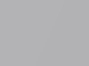 Hyundai Atoz Silver Lining Metallic 1999 SL