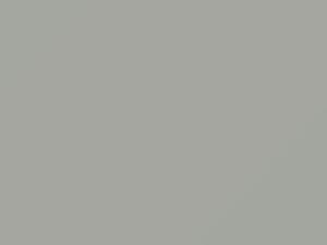 Fiat All Models Grigio Luce 2001 631A