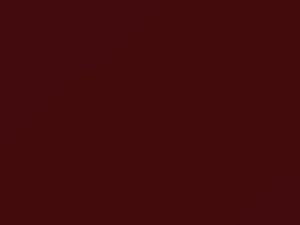 Fiat All Models Red 1993 123