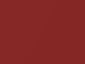 Hyundai All Models Blushing Red Metallic 2010 NB