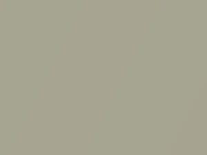 Mercedes-Benz C Class Silberdistel Metallic 1986 6881 - Scratch Repair