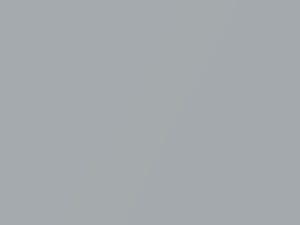 Nissan All Models M.V. Iceberg Gray Metallic 2001 Z20