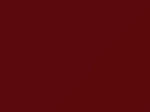 Fiat All Models Monza Red/Rosso Racing 2011 113