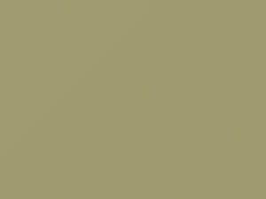 Mitsubishi Ek Light Beige 2014 CMS10014, S14 - Scratch Repair