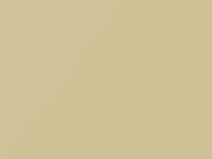 Ford Festiva Creme Brulee 1996 7176, M7176A, P8, PH - Scratch Repair