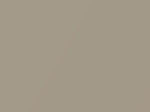 Nissan All Models Beige Metallic/Pebble Beige Metallic 1991 CG2 - Scratch Repair