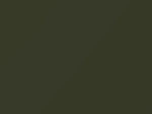 Nissan Xterra Camouflage 2003 D12 - Scratch Repair