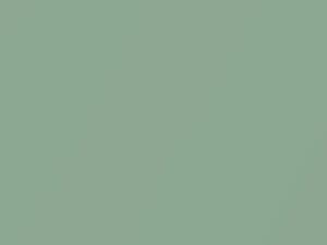Toyota All Models Light Green Metallic 2011 6S0