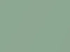 Toyota All Models Light Green Metallic 2011 6S0