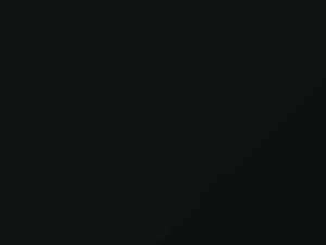 Audi All Models Tiefseegruen 1971 L66B