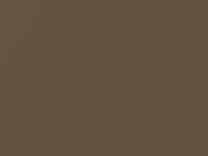 Nissan Quest Sahara Gold Metallic 2004 C10 - Scratch Repair