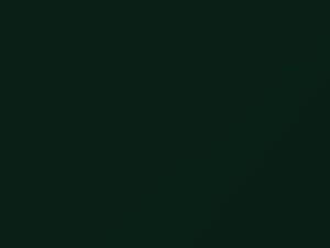 Mercedes-Benz Sprinter Orchidgruen 1998 464, 6464