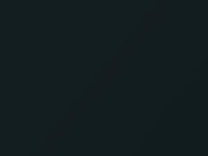 BMW 3 Series Deep Green Metallic 2006 A43