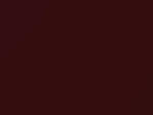 Nissan Pathfinder Merlot Pearl 2005 AX5