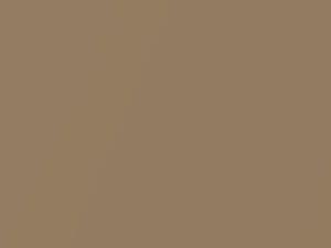 Nissan All Models Light Brown Metallic 2009 CAD - Scratch Repair