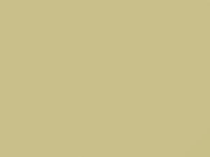 Toyota All Models Light Yellow 2011 599