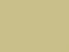 Toyota All Models Light Yellow 2019 599