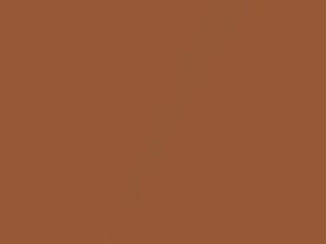 Nissan All Models Caramel Brown Metallic 1997 CT0
