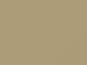 Mitsubishi All Models Jizan Beige 1996 AC11033, S33