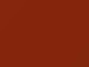 Nissan Xterra Atomic Orange 2003 A16 - Scratch Repair