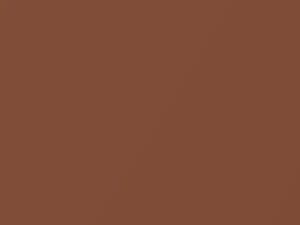 Toyota All Models Light Copper Mica 1998 4N4
