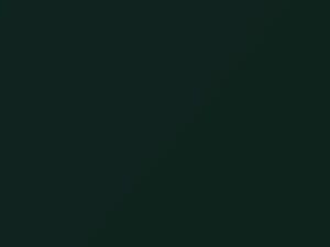 Audi Q8 Goodwood Green Pearl 2018 6T, 6T6T, LZ6X, Z6X