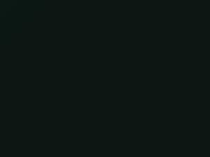 Nissan All Models Dark Green 1999 DV0