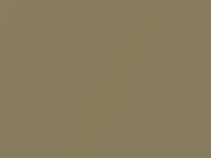 Hyundai All Models Moss Beige Metallic 2011 QP