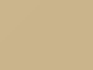 Honda All Models Plasir Ivory 2003 YR544 - Scratch Repair