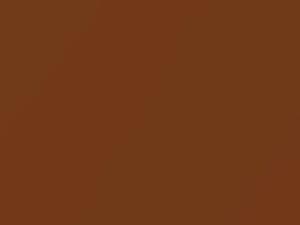 Nissan Pickup Brownish Orange Metallic 2004 R12 - Scratch Repair