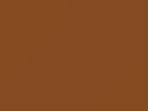 Mercedes-Benz Sprinter Braunbeige 2005 1011, 1448, 448