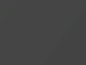 Honda Civic Coupe Magnesium Silver Metallic 2006 NH675M