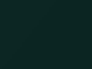 Honda Odyssey Clover Green Pearl 1998 G95P - Scratch Repair