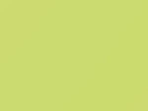 Volkswagen New Beetle Isotope Green 2001 LG1N, T8, T8T8