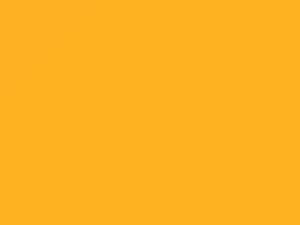 Lotus All Models Solar Yellow Pearl 2007 B114