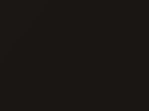 Mercedes-Benz Slk Class Braunschwarz Metallic 1999 022, 22